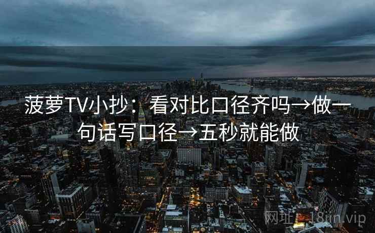 菠萝TV小抄：看对比口径齐吗→做一句话写口径→五秒就能做